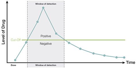 drug testing window of detection