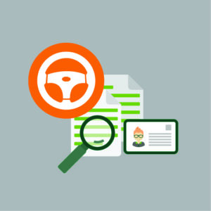 Driving Record - Validity Screening Solutions